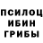 Галлюциногенные грибы мухоморы ADIL TLEKULY
