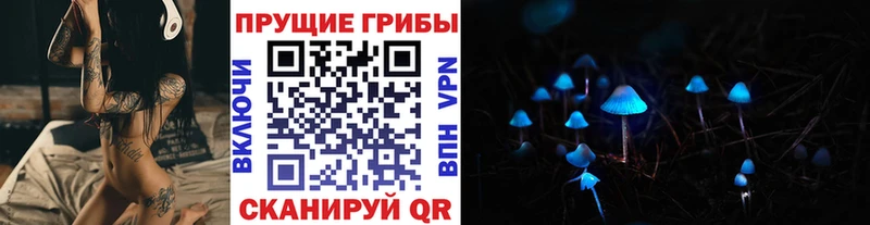 наркота  Дорогобуж  Галлюциногенные грибы мицелий 
